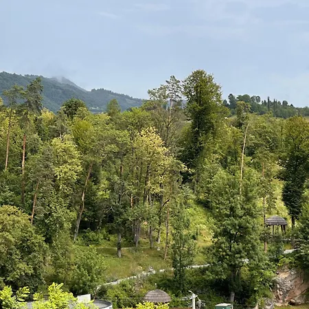 Casa De Vacanta Holiday home